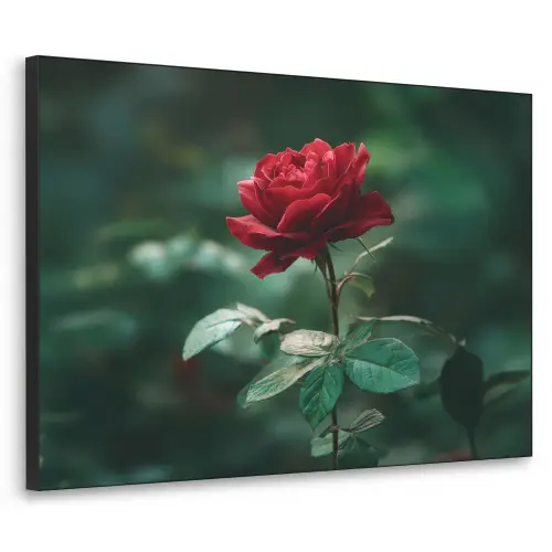 Roos - Bladeren - Dieprood Textielframe - compleet frame klein -3d