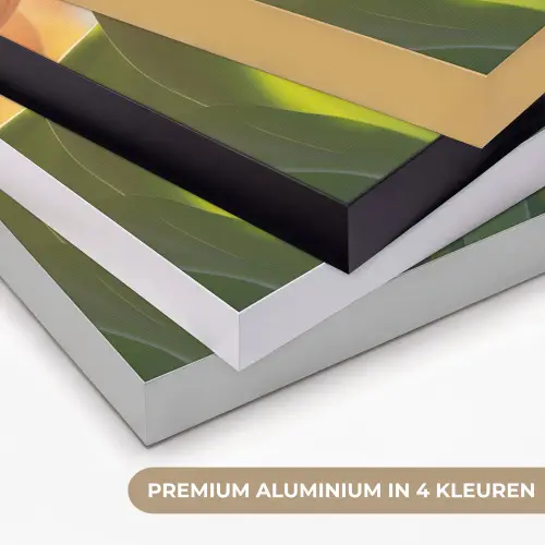 Tulpen - Roze - Zonnestralen Textielframe zwart klein -USP_kleurenNL