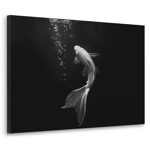 Koi - Vis - Wit - Zwart Textielframe zwart klein -3d