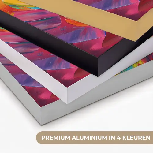 Bloem - Verflook - Modern - Abstract - Kleuren Textielframe zwart klein -USP_kleurenNL