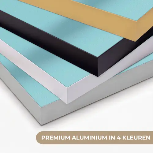 Kiwi - Blauw - Surrealistisch Textielframe zwart klein -USP_kleurenNL