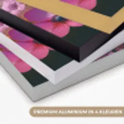Bloemen - Kleurrijk - Bloei Textielframe zwart klein -USP_kleurenNL
