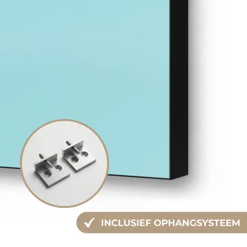 Kiwi - Blauw - Surrealistisch Textielframe zwart klein -USP_ophangsysteemNL