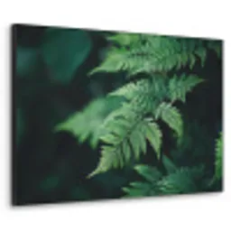 Varenblad - Groen - Structuur - Wazig Textielframe zwart klein -3d