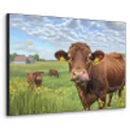 Koe - Weide - Bloemen Textielframe - compleet frame klein -3d