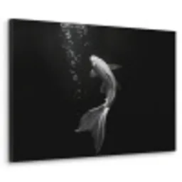 Koi - Vis - Wit - Zwart Textielframe - compleet frame klein -3d