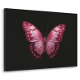 Vlinder - Fuchsia - Grafisch Textielframe - compleet frame klein -3d
