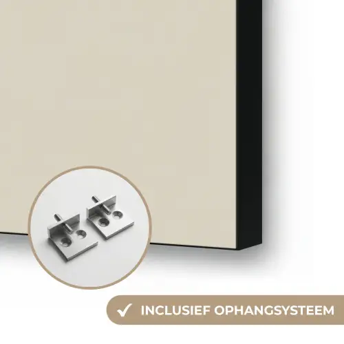 Cameliabloem - Wit - Groen Textielframe zwart klein -USP_ophangsysteemNL