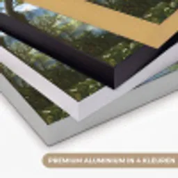 Zwaan - Bomen - Rust Textielframe zwart klein -USP_kleurenNL