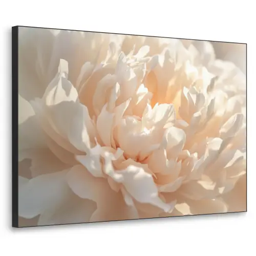 Close up - Pioenroos - Lichtroze Textielframe - compleet frame klein -3d
