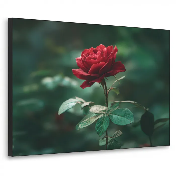 Roos - Bladeren - Dieprood Textielframe - compleet frame klein -3d