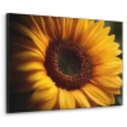 Geel - Zonnebloem - Zomers Textielframe - compleet frame klein -3d
