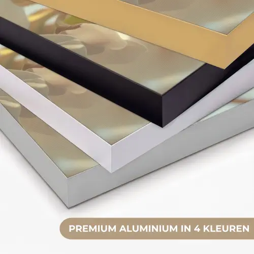 Bloesems - Wit - Zonnestralen -  Bloemblaadjes Textielframe zwart klein -USP_kleurenNL