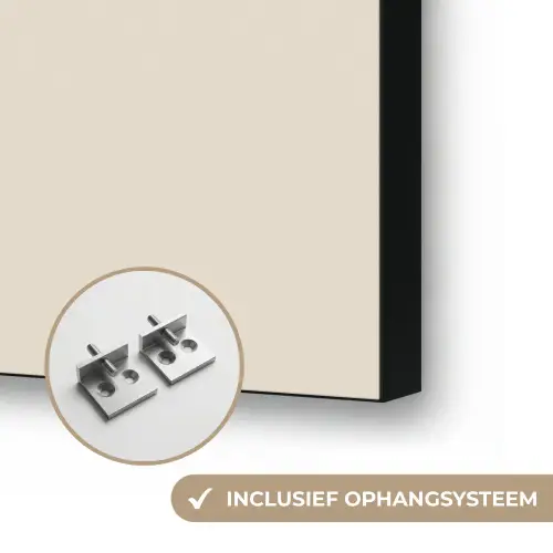 Boeket - Beige - Harmonieus - Subtiel Textielframe zwart klein -USP_ophangsysteemNL