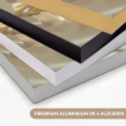 Bloesems - Wit - Zonnestralen -  Bloemblaadjes Textielframe zwart klein -USP_kleurenNL