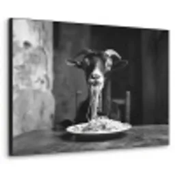Geit - Bord - Spaghetti - Zwart Wit Textielframe - compleet frame klein -3d