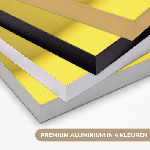 Avocado - Discobal - Geel - Glitter Textielframe zwart klein -USP_kleurenNL