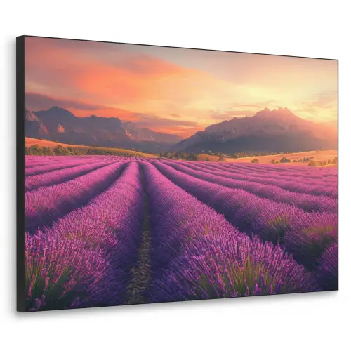 Lavendelveld - Zonsondergang - Paars Textielframe zwart klein -3d