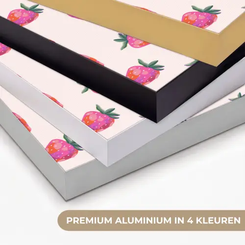 Aardbeien - Rood - Roze - Patroon Textielframe zwart klein 947 -USP_kleurenNL