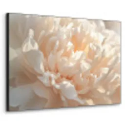 Close up - Pioenroos - Lichtroze Textielframe - compleet frame klein -3d