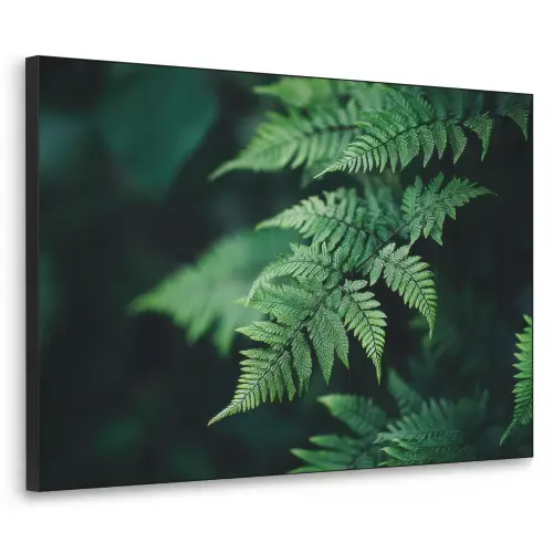 Varenblad - Groen - Structuur - Wazig Textielframe zwart klein -3d