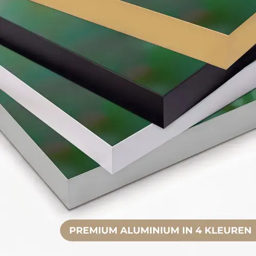Aster - Paars - Bloem - Blaadjes Textielframe zwart klein -USP_kleurenNL