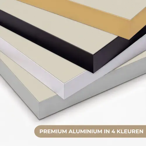 Cameliabloem - Wit - Groen Textielframe zwart klein -USP_kleurenNL