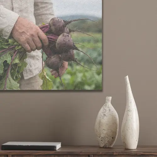 Bieten - Vers - Moestuin PET vilt klein -sfeer6_closeup