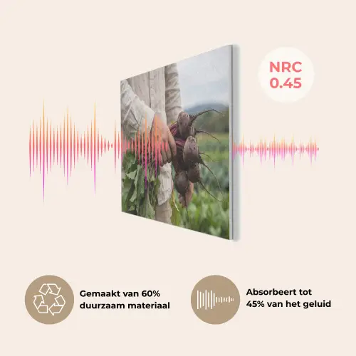 Bieten - Vers - Moestuin PET vilt klein -USP_NL