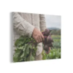 Bieten - Vers - Moestuin PET vilt klein -3d