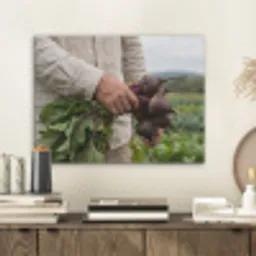 Bieten - Vers - Moestuin PET vilt klein -sfeer1