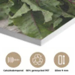 Bieten - Vers - Moestuin PET vilt klein -closeup_NL