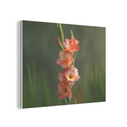 Bloem - Gladiolen - Zalmroze PET vilt klein -3d