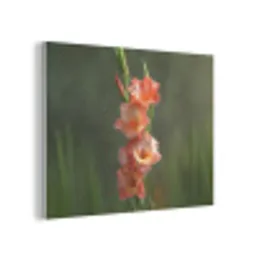 Bloem - Gladiolen - Zalmroze PET vilt klein -3d