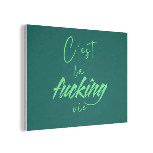 c'est la fucking vie - Groen - Handgeschreven PET vilt klein -3d