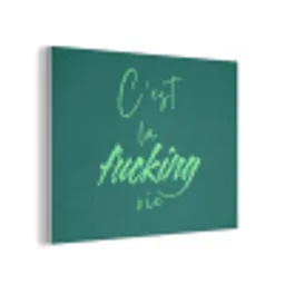 c'est la fucking vie - Groen - Handgeschreven PET vilt klein -3d
