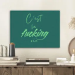 c'est la fucking vie - Groen - Handgeschreven PET vilt klein -sfeer1