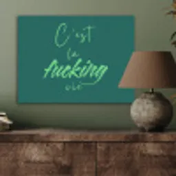c'est la fucking vie - Groen - Handgeschreven PET vilt klein -sfeer2