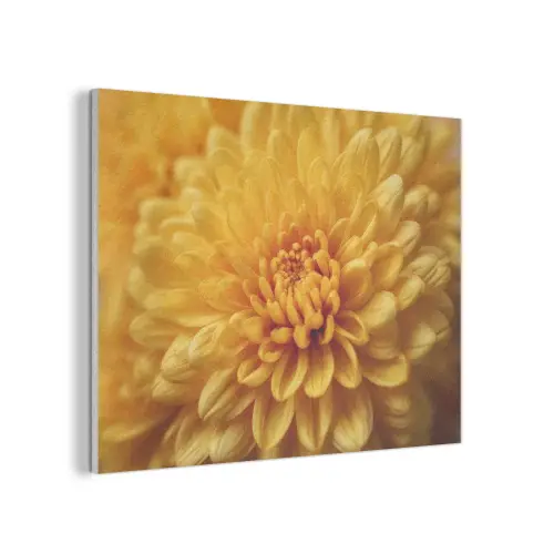 Geel - Chrysant - Zachtheid PET vilt klein -3d