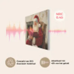 Kerst - Kerstman - Winter - Open Haard PET vilt klein -USP_NL