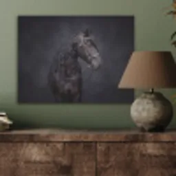 Portret - Paard - Donker PET vilt klein -sfeer2