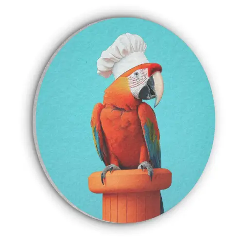 Ara - Koksmuts - Sokkel - Grappig Akoestische PET Vilt - Rond klein -3d