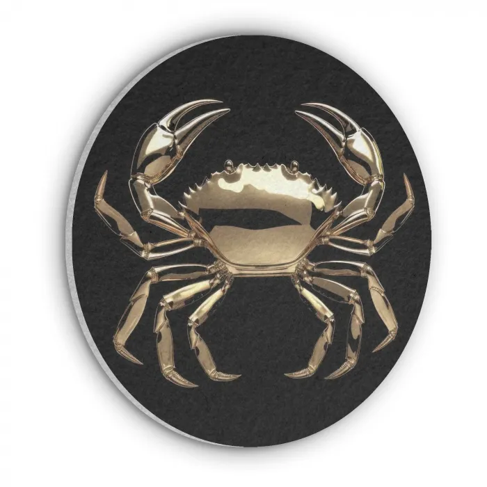 Goud - Krab - Dieren - Zwart Akoestische PET Vilt - Rond klein -3d