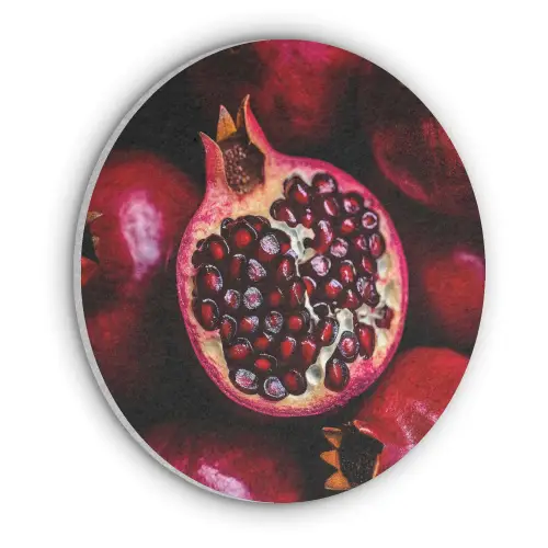 Granaatappel - Rood - Fruit Akoestische PET Vilt - Rond klein -3d