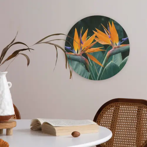 Paradijsvogel - Bloem - Exotisch Akoestische PET Vilt - Rond klein -sfeer3