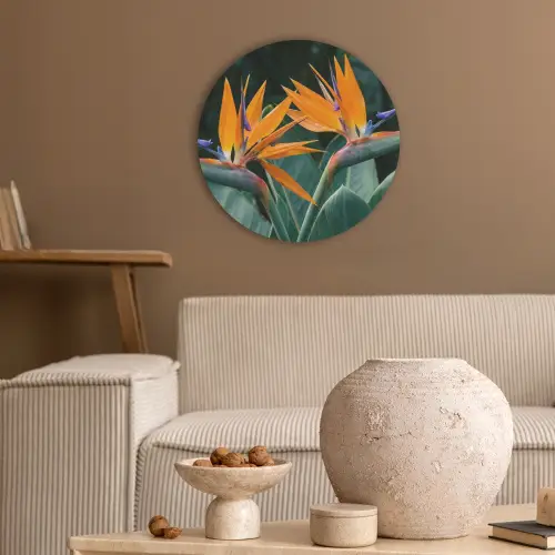 Paradijsvogel - Bloem - Exotisch Akoestische PET Vilt - Rond klein -sfeer1