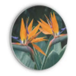Paradijsvogel - Bloem - Exotisch Akoestische PET Vilt - Rond klein -3d