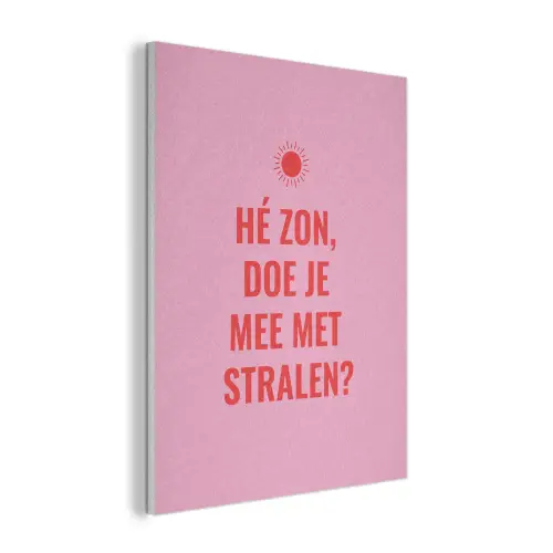 Roze - Zon - Quote PET vilt klein -3d