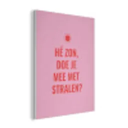 Roze - Zon - Quote PET vilt klein -3d
