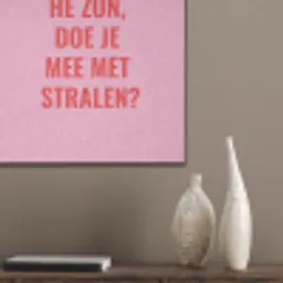 Roze - Zon - Quote PET vilt klein -sfeer6_closeup
